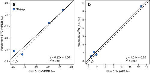 Figure 4. Comparison of stable isotope values from skin and parchment produced using Method 2, (a) δ13C, (b) δ15N. Solid line = Linear trend line; Dashed line = 1:1