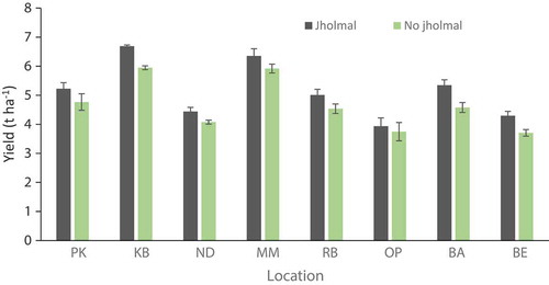 Figure 4. Effects of jholmal/no jholmal on rice yield (mean ± standard error) in 2016 in eight different sites: Patlekhet (PK), Kalchhebesi (KB), Nayagaun-Deupur (ND), Mahadevsthan Mandan (MM), Rabi (RB), Opi (OP), Baluwa (BA), and Bela (BE).