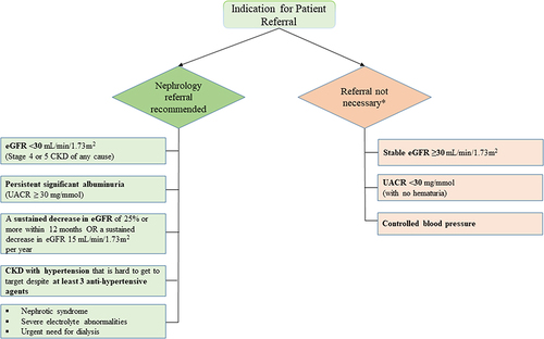 Figure 2 Recommended nephrology referral pathway.