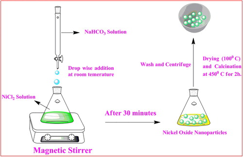 Figure 1. The schematic procedure for the synthesis of NiO NPs.