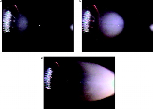 FIG. 9. Photographs of the Pyrell smoke plume expanding to the right at 7 s, 16 s, and 33 s after heater is turned on.