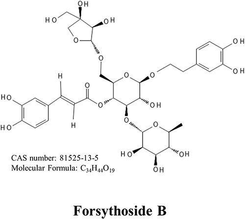 Figure 1 The chemical construction of forsythoside B.