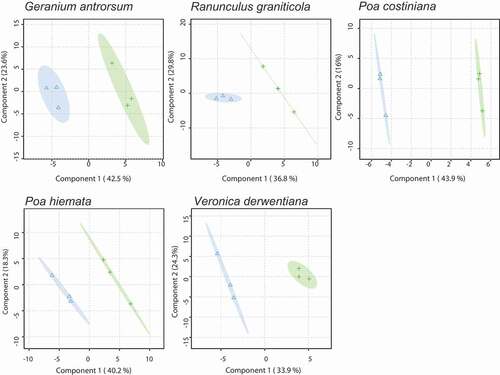 Figure 3. PLS-DA score plots of the top two membrane lipid components for G. antrorsum, R. graniticola, P. costiniana, P. hiemata, and V. derwentiana. Closed green crosses = SP (low P) site; blue triangles = DHP (high P) site. Shaded areas represent 95 percent confidence intervals