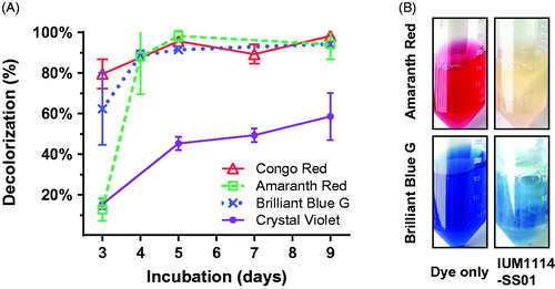 Figure 1. Decolorization ability of S. commune IUM1114-SS01 in aerated liquid PDB. (A) The decolorization ability of each sample was measured from 3 days after inoculation with dye in filtered vent cap falcon tube. (B) Pictures of color changes in Brilliant Blue G and Amaranth Red solutions were taken after 10 days of inoculation. Control sample is the PDB solution supplemented with equivalent dye.