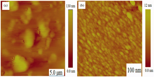 Figure 4. AFM surface morphology of MTO films deposited on quartz at 12 SCCM O2 for (a) as-deposited and (b) annealed films.