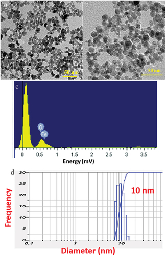 Figure 2. HR-TEM images (a, b) and EDS spectrum (c) and DLS histogram (d) of prepared Fe2O3 NPs.