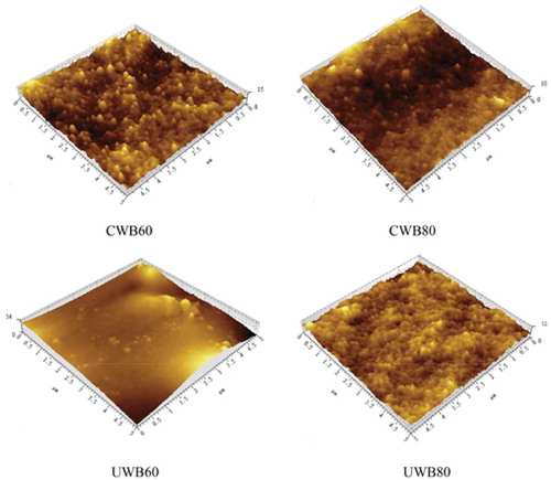 Figure 4. Nanostructure of ﬁsh gelatin extracted by CWB and UWB; CWB60, CWB80, UWB60, and UWB80 mean fish gelatin was extracted at temperatures of 60°C and 80°C by CWB and UWB for 1 h, respectively.