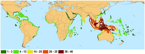 Figure 1. The native distribution of mangrove species richness across the globe. The introduced ranges are not shown in color: Rhizophora stylosa in French Polynesia, Bruguiera sexangular, Conocarpus erectus, and Rhizophora mangle in Hawaii, Sonneratia apelata in China, and Nypa fruticans in Cameroon and Nigeria (Source Polidoro et al. Citation2010).