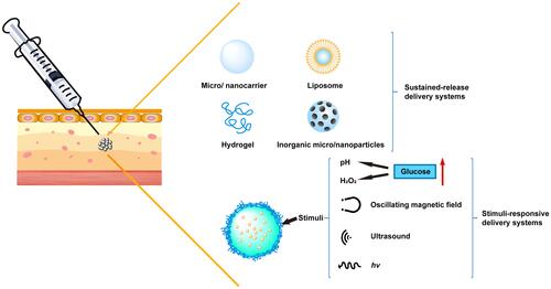 Figure 2 Schematic illustration of various subcutaneous delivery systems used for antidiabetic biomacromolecular drugs.