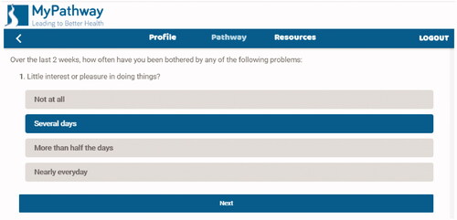 Figure 4. An example of a TiM telehealth questionnaire.