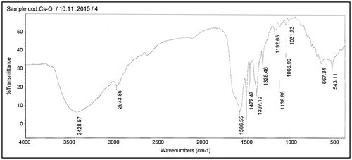 Figure 4. FTIR spectra of leucine of polyaspartic acid (Leu-PASP).