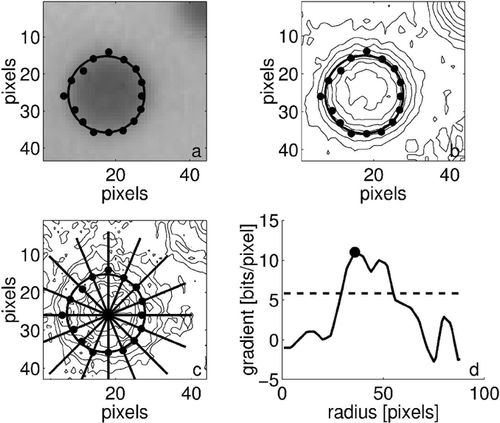 FIG. 7 Sizing algorithm routine applied to a typical particle showing: (a) the original video still with particle edge points and best-fit superimposed, (b) intensity contours, (c) gradient contours with 16 radials, and (d) gradient value along a typical radial with the maximum value marked.