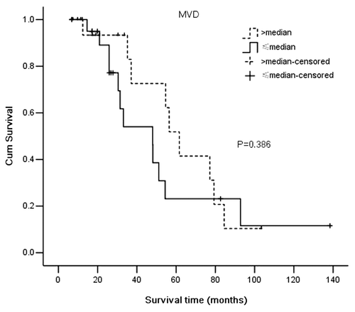 Figure 4. Comparison of Kaplan-Meier survival curves (log-rank test) in patients with medulloblastoma according to patients with MVD values below the group median (total 21, censored 9) vs. those with values above the group median (total 20, censored 11).