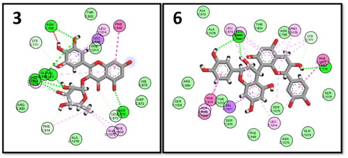 Figure 8. 2D interactions of myricetin rhamnoside (3) and procyanidin B3 (6) in the binding pocket of XO enzyme.