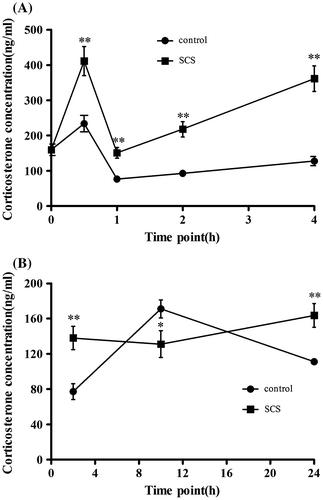 Fig. 6. Effects of SCS administration on serum CORT level.