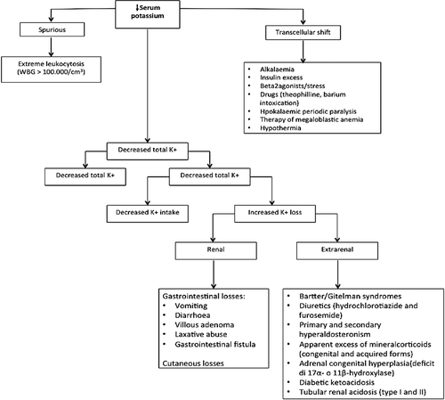 Figure 1. Main causes of hypokalemia.