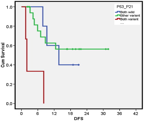 Figure 3. Impact of p53/p21 on DFS in AML.