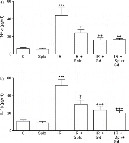 Figure 1. a) Tumor necrosis factor-α (TNF-α) and b) interleukin-1 β (IL-1 β) levels in the serum of control, splenectomy (Splx)-, and gadolinium (Gd; 10 mg/kg)-treated ischemia/reperfusion (IR) groups. Each group consists of eight animals. *p < 0.05, ***p < 0.001, compared to control group; +p < 0.05, ++p < 0.01, +++p < 0.001, compared to IR group.