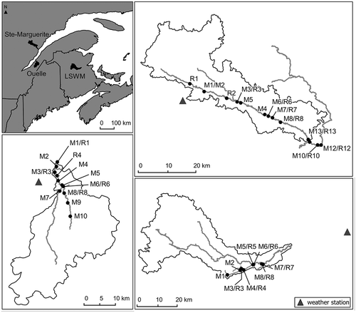 Fig. 1 Locations of the meteorological stations and water temperature monitoring sites in each of the three drainage basins: (a) St Marguerite, (b) Ouelle, and (c) LSWM. M and R with site numbers respectively designate mainstem (M) and paired cooler refugia (R) tributary waters.