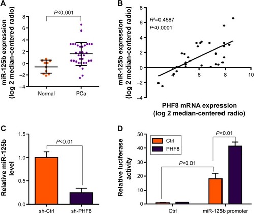 Figure 4 PHF8 regulates the expression of oncomiR miR-125b.