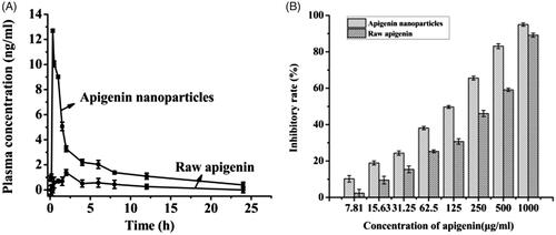 Figure 5. The plasma concentration (A) and the inhibitory rate (B) of raw apigenin and apigenin nanoparticles.