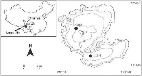 FIGURE 1. Location map of Lake Lugu showing sampling position of sediment trap and surface water columns that were collected. Depth contours are in metres (Wang and Dou, 1998).