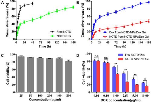 Figure 3 In vitro drug release and cytotoxicity assessment.