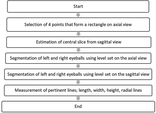 Figure 3 Summary of algorithm for segmentation and measurement of the MRI images.