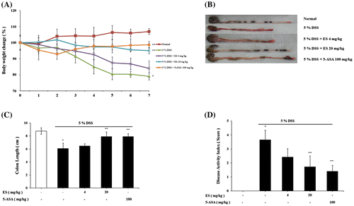 Fig. 1. Effect of ES on clinical signs in DSS-induced acute colitis. (A) Body weight was measured at the same time on the experimental days; (B) Representative colons of each group; (C) Average colon length in cm measured after 7 days at the time of sacrificed; (D) Disease activity index score in the five study groups. Values represent mean ± S.E.M. (n = 6). Data were analyzed by Tukey post hoc test (*p < 0.05 versus Normal and **p < 0.05 versus DSS alone).