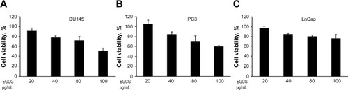 Figure 2 Dose-dependent effect of EGCG on cell viability on DU145, PC3, and LnCap cells.Notes: Cells (A) DU145, (B) PC3, and (C) LnCap were treated with indicated concentration of EGCG for 24 hours. Cell viability was determined by MTT colorimetric assay. Data are shown as percent viability normalized to cells treated with vehicle (DMSO). The data shown are means ± SD of experiments performed in triplicate and are representative of three independent experiments.Abbreviations: DMSO, dimethyl sulfoxide; EGCG, epigallocatechin-3-gallate; MTT, 3-(4,5-dimethylthiazol-2-yl)-2,5-diphenyltetrazolium bromide; SD, standard deviation.