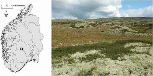 Figure 1. Location of Imingfjell in southern Norway and a picture of the study area showing that the lichen heaths are mainly found on the ridgetops and the shrubs on the ridgetops and midslopes