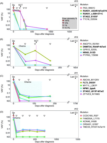 Figure 3. Monitoring leukemic mutations using ultrasensitive IBSAFE for four non-relapsing AML patients (A) #13, (B) #14, (C) #11 and (D) #12. In each plot, the y-axis represents the detected variant allele frequency (VAF %) for each tracked mutation (key to right; genes known to be recurrently mutated in AML in bold), and the x-axis indicates the days after diagnosis with therapies indicated by shading (chemotherapy) and clinical events indicated along the top of each plot. The inverted triangles indicate the flow cytometry MRD results, with the color-key indicated in the lower-right of plot (A). Dx: diagnosis; FU: follow-up; SCT: stem cell transplantation; ND: not detected (VAF below 0.003%).
