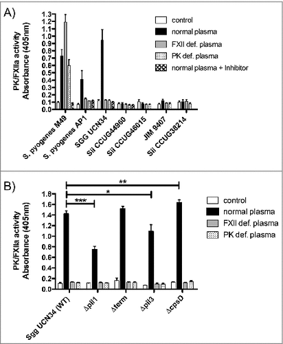Figure 3. Activation of FXII/PK on the bacterial surface of 5 SBSEC strains (A) and Sgg UCN34 and its mutant strains (B). Bacteria were incubated in HEPES buffer (neg. control), normal human plasma, PK- and FXII-deficient plasma or normal human plasma preincubated with the inhibitor H-D-Pro-Phe-Arg-CMK. After a washing step, bacteria were incubated with the chromogenic substrate S-2303 and absorbance at 405 nm was determined. Data represents mean values ± standard deviation, whereas mean values result from three independent biological measurements. Significance values were calculated in reference to the control using the Welch's t-test. # – p < 0.05, ## – p < 0.01, ### – p < 0.001