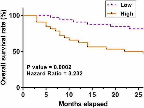 Figure 3. Predictive role of hsa_circ_0077837 for patients’ survival. The survival curves of patients with high and low hsa_circ_0077837 levels were plotted using data from follow-up study and compared using log-rank test.
