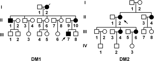 Figure 1 Two Han Chinese pedigrees with maternally transmitted T2DM, arrows indicate the probands.