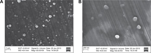 Figure 1 Images of CAM-PCL-P NPs viewed under field emission scanning electron microscopy.Notes: (A) CAM-PCL-P NPs at 20.00 KX magnification; (B) CAM-PCL-P NPs at 50.00 KX magnification.Abbreviations: CAM-PCL-P NPs, chloramphenicol loaded with poly(ε-caprolactone)-pluronic composite nanoparticles; EHT, extra high tension voltage; Mag, magnification; WD, working distance.