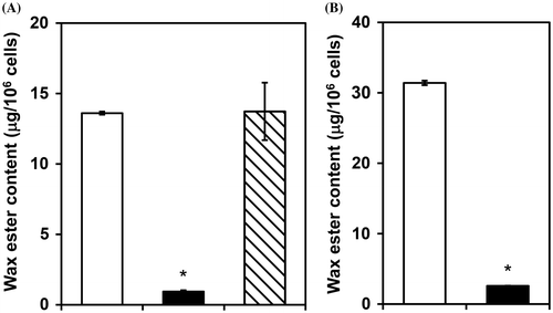 Fig. 2. Effects of gene silencing of the pyruvate dehydrogenase complex and pyruvate:NADP+ oxidoreductase on anaerobic wax ester fermentation.