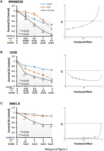 Figure 1. Combination of cladribine and entinostat significantly induces growth inhibition of MM cells, and is synergistic over a wide range of concentrations. Human MM cells were plated onto 96-well plates with fresh RPMI1640 medium (2.5% FBS) or same medium containing indicated concentrations of cladribine (Clad) or entinostat (Ent) or their combinations (Combo) with a fixed ratio for 48 hrs. The percentages of surviving cells as compared to controls, defined as 100% survival, were determined by reduction of MTS. Data shows the representative of three independent experiments. Bars, SD. P values vs single agent treatments. The combination index (CI) curves were calculated using Calcusyn software according to the Chou–Talalay equation. (a) RPMI8226, (b) U266, (c) MM1.R.