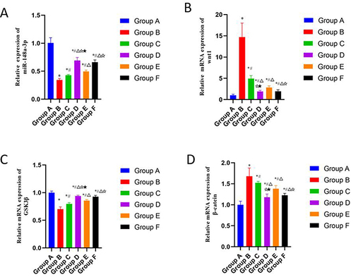 Figure 5 Effects of CGG on the expressions of miR-148a-3p/wnt/β-catenin signaling pathway-related mRNAs in knee cartilage tissues of KOA rats. mRNA expression levels of miR-148a-3p (A), wnt1 (B), GSK-3β (C), and β-catenin (D) in cartilage tissues of KOA rats in each group. Notes: Group A, the blank group; Group B, the model control group; Group C, the CGG low-dose group; Group D, the CGG medium-dose group; Group E, the CGG high-dose group; Group F, the glucosamine hydrochloride group. CGG, Chonggu Granules. KOA, knee osteoarthritis. * Compared with group A, P < 0.05; # Compared with group B, P < 0.05; Δ Compared with group C, P < 0.05; ☆ Compared with group E, P < 0.05; ★ Compared with F group, P < 0.05.