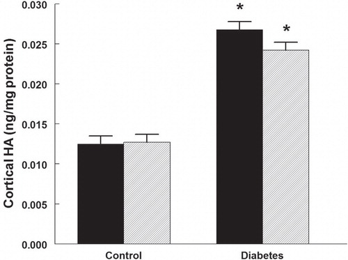 Figure 1. Cortical hyaluronan (HA) content in control and diabetic rats treated with vehicle (black bars) or rapamycin (hatched bars). *P < 0.05 versus corresponding control group. n = 10 in each group.