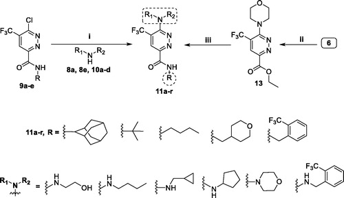 Scheme 3. Preparation of target pyridazines 11a–r; reagents and conditions: (i) 1,4-Dioxane, Hünig’s base, reflux, 6 h; (ii) Morpholine, 1,4-dioxane, Hünig’s base, reflux, 12 h; (iii) Primary amines 8a–e, EtOH, piperdine, reflux, 6 h.