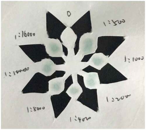 Figure 3. Color development results of SARS-Cov-2 N protein concentration of 133 μg/ml.