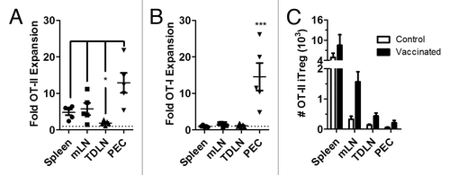 Figure 5. Cognate-antigen specific suppression of CD4+ T cell immunity in tumor bearing mice. FIR mice were adoptively transferred with a mixed population of OT-II Tconv and OT-I cells 2 days prior to inoculation with E.G7 tumors by subcutaneous injection. After 10 days, E.G7 tumor bearing mice were vaccinated with ova/alum or injected with PBS as control. 5 days later, the fold expansion of OT-II cells (A) or OT-I cells (B) in the ova/alum treated group was compared to controls (shown as the dashed line) for the indicated tissues. Data are shown for individual mice together with mean ± S.E.M. The absolute numbers of spontaneously generated OT-II iTreg were calculated for each tissue for control and ova/alum vaccinated mice. Data are shown as mean ± S.E.M.