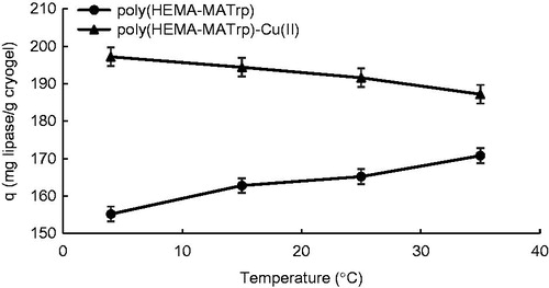 Figure 6. Effect of temperature on adsorption of lipase onto poly(HEMA-MATrp) (pH: 6.0, interaction time: 40 min., CLipase: 1.5 mg/mL) and poly(HEMA-MATrp)-Cu(II) (pH: 7.0, interaction time: 30 min., CLipase: 2.0 mg/mL) cryogels.