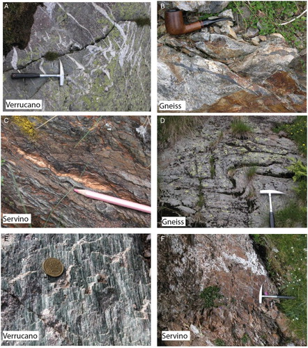 Figure 2. (a) Sigmoidal tension gashes in the Verrucano formation; (b) pseudotachylites in basement rocks; (c) shear bends in the Servino formation used as kinematic indicators; (d) folds in basement rocks; (e) slickensides lineations in the Verrucano Formation; (f) cataclastic domains in the Servino formation close to the Orobic thrust.