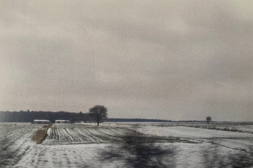 Figure 7. Photograph from a train window.