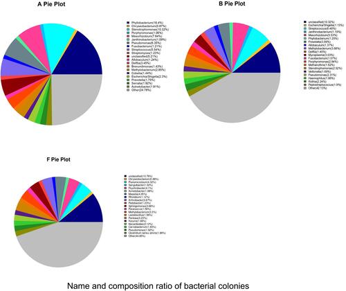 Figure 4 Name and composition ratio of bacterial colonies with abundance greater than 1% in BALF and PM2.5 samples.