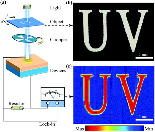 Figure 6. Diamond/β-Ga2O3 heterojunction photodetector for UV imaging at 0 V (a) Schematic illustration. (b) The image of the object with letters “UV” on a black paper. (c) Image obtained from the imaging system [Citation77]. © 2018, Royal Society of Chemistry.