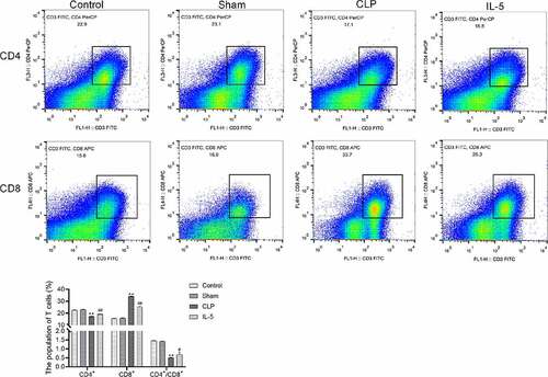 Figure 3. Effect of IL-5 on CD4+/CD8+ ratio in peripheral blood