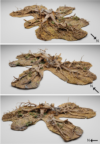Figure 3. Views of the 3D rendered model of the Windankooroo larrkarrdiy. Source: W.R. Andrews.